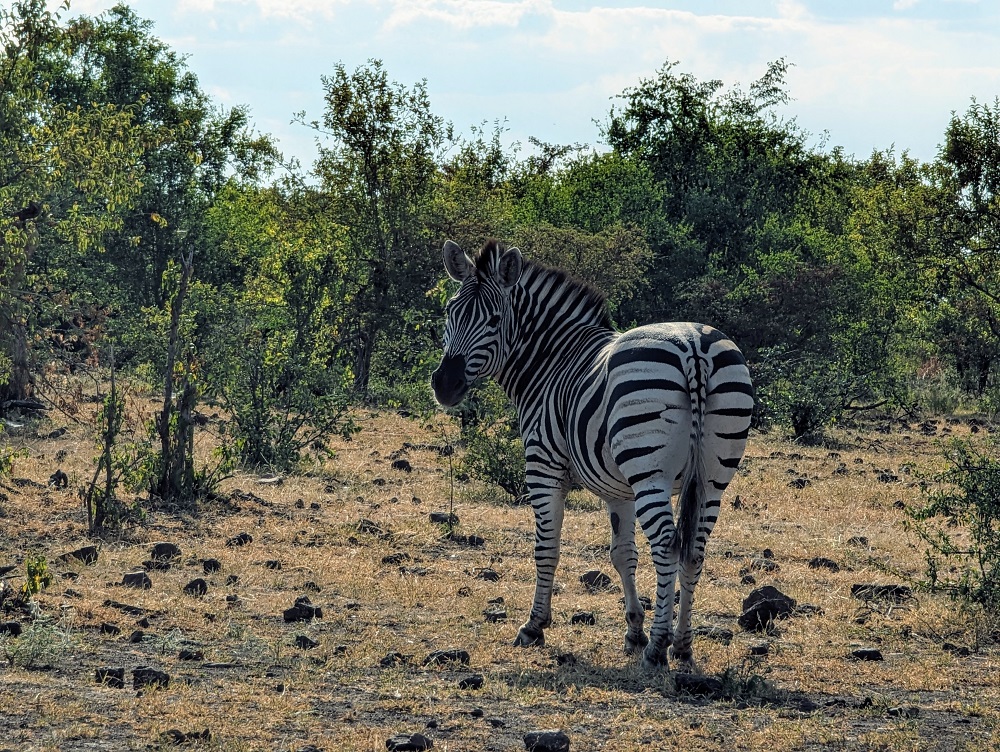 Zimbabwe.jpg