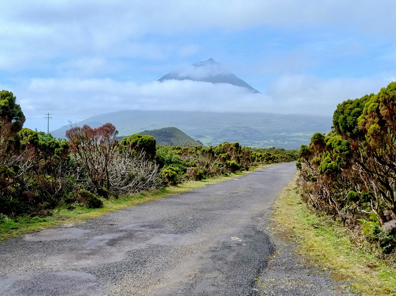 3-Pico.jpg