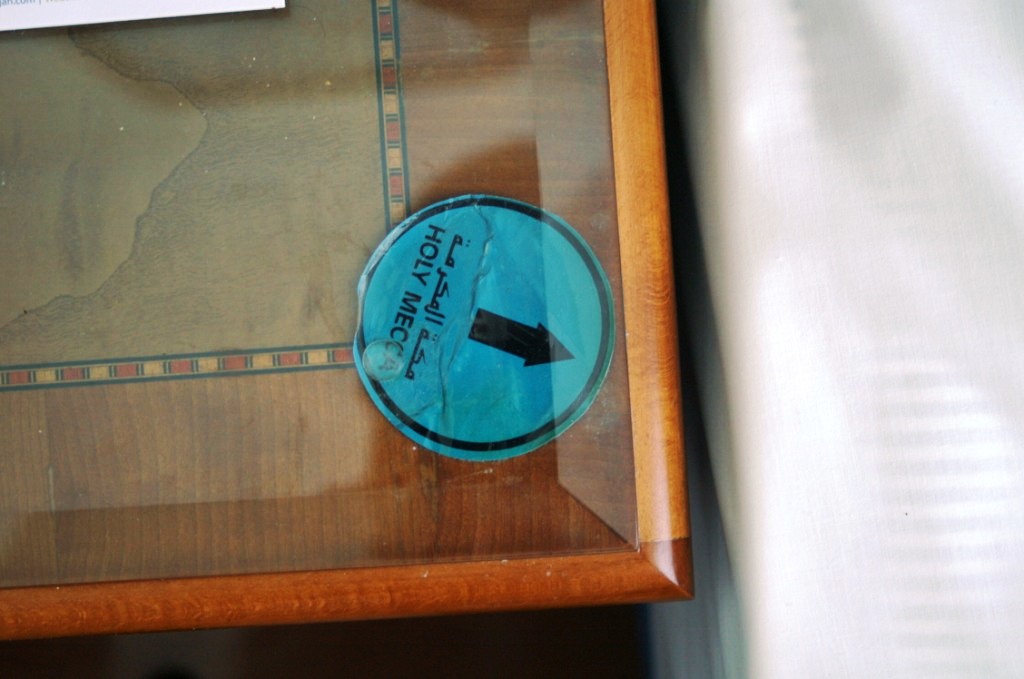 PICT8241.JPG