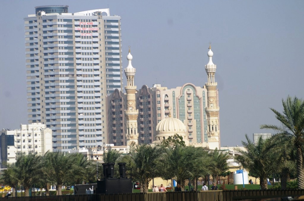 PICT8251.JPG