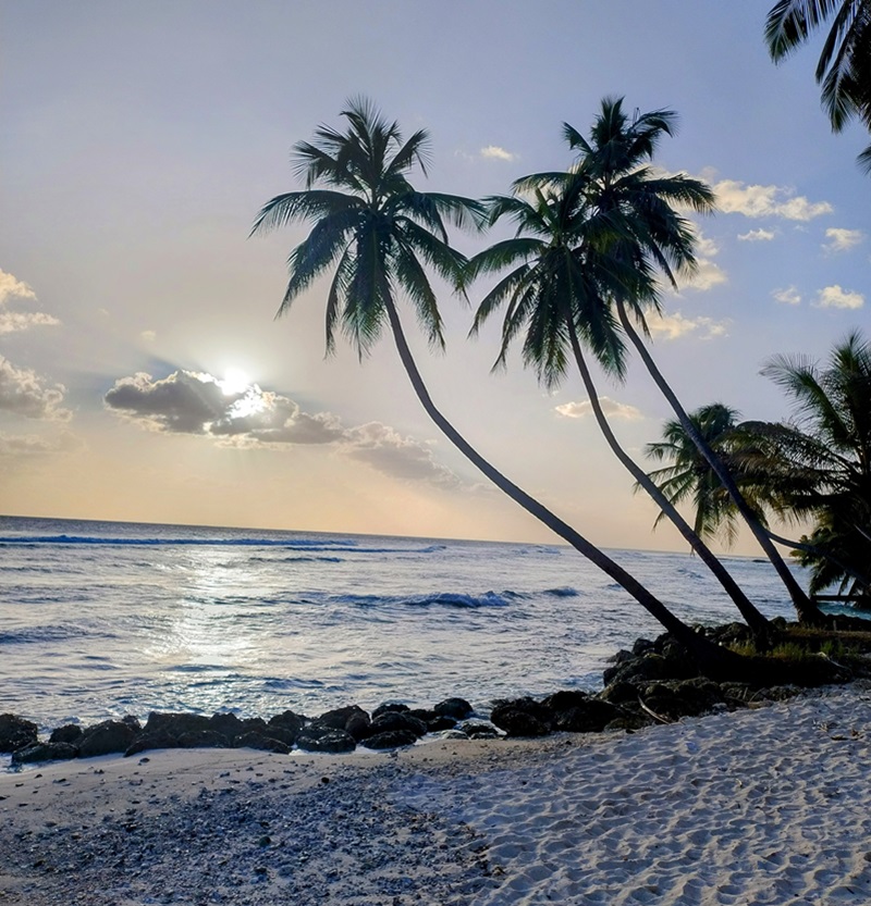15-Barbados_Hastings.jpg