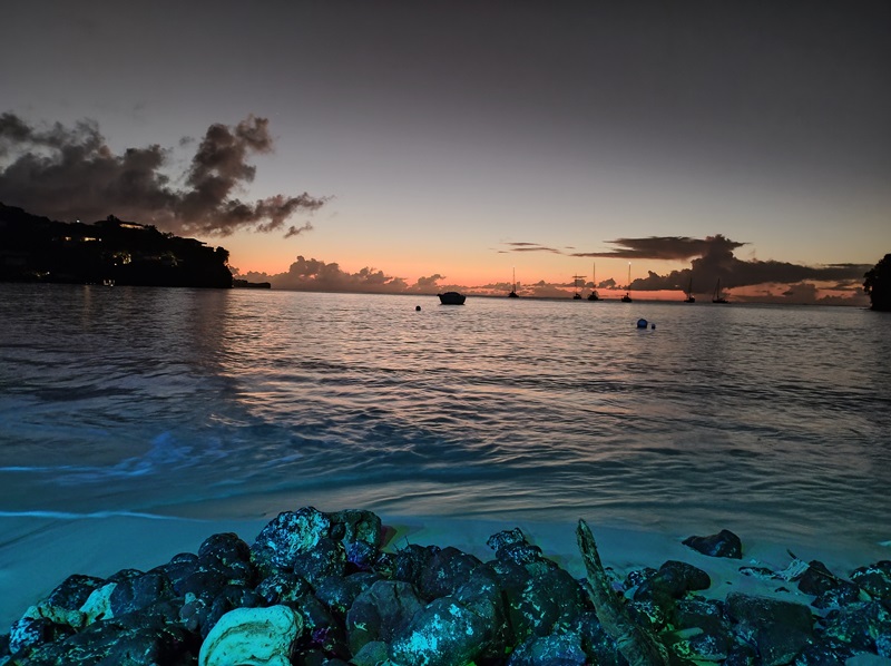 15-Grenada_Morne_Rouge_Beach.jpg