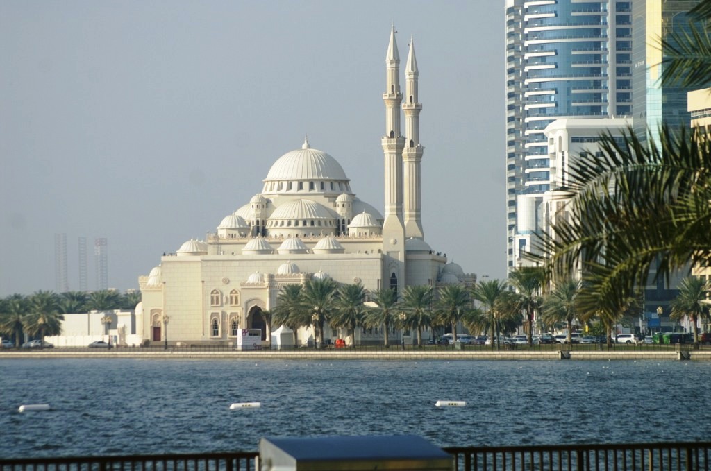 PICT8257.JPG
