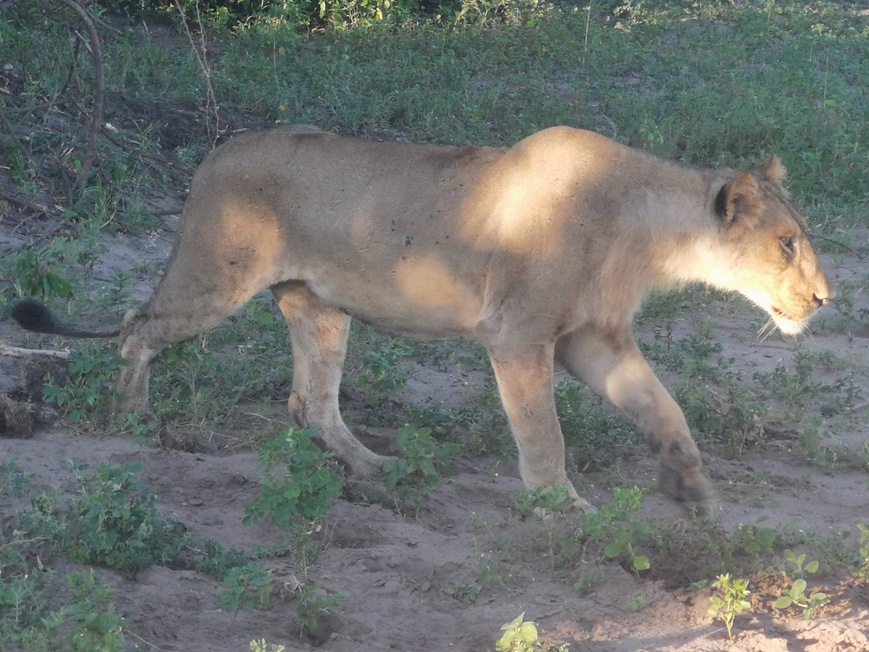 Botswana.jpg