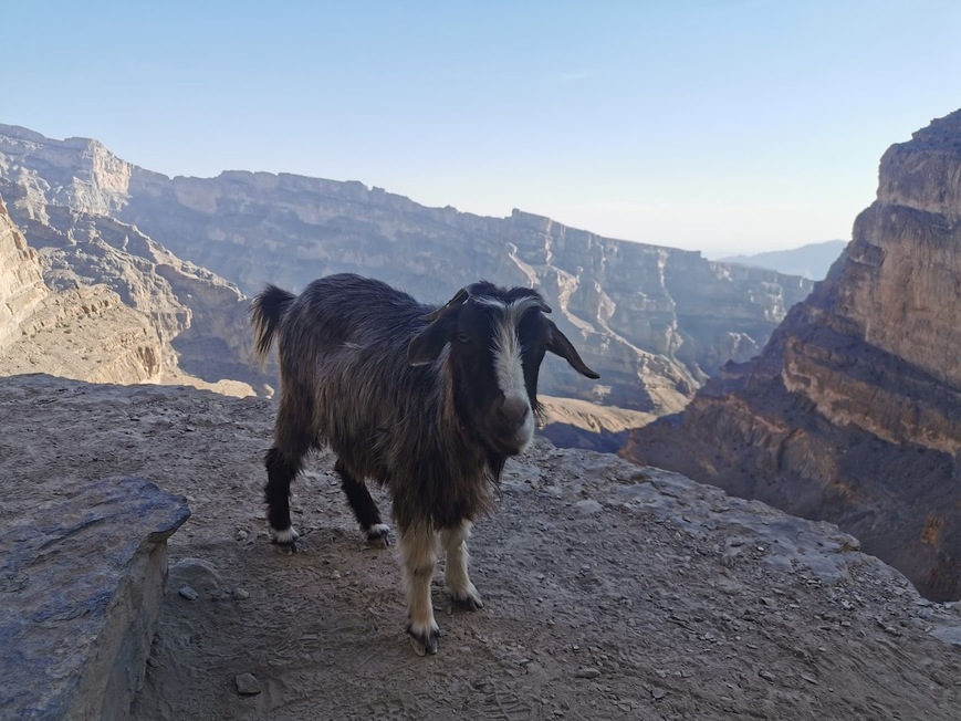 Oman.jpg