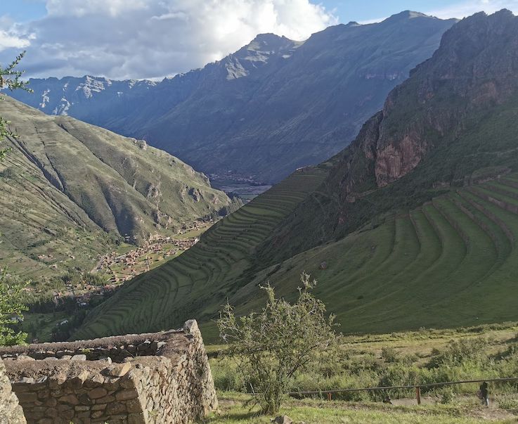 peru 1.png