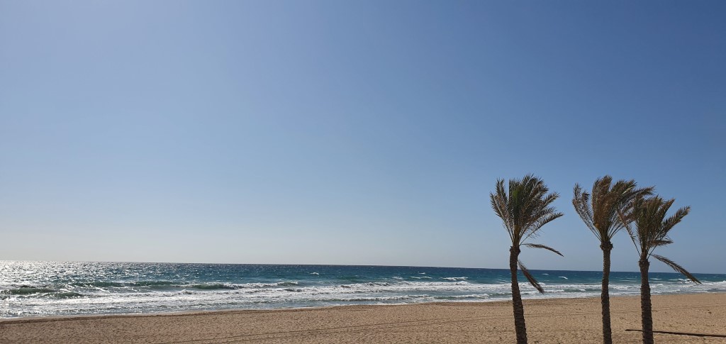 alicante_plaza_2.jpg