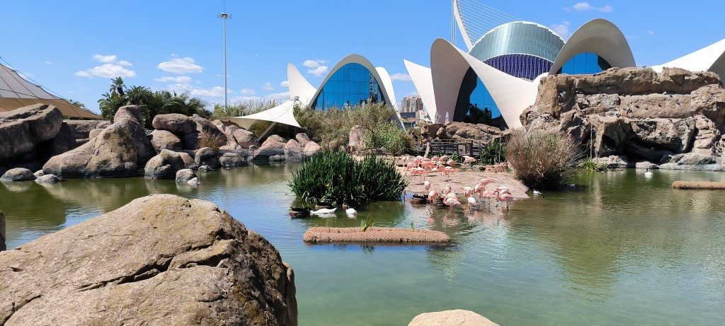 walencja_oceanarium.jpg