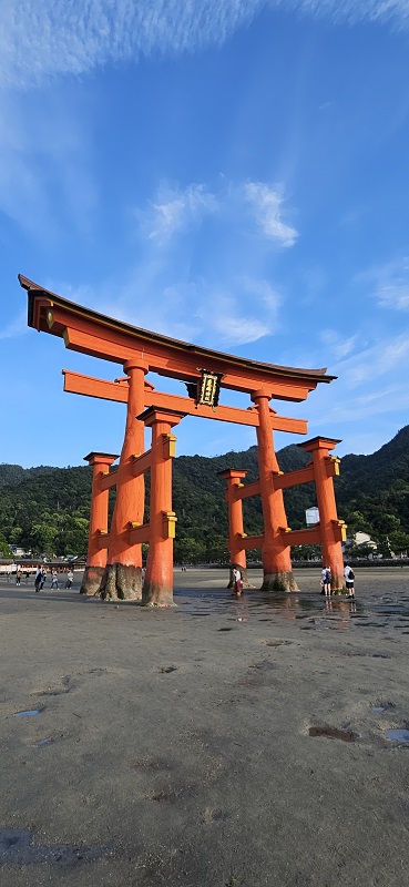 Japonia1.jpg