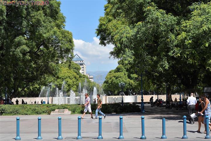 mendoza 02 (Small).jpg