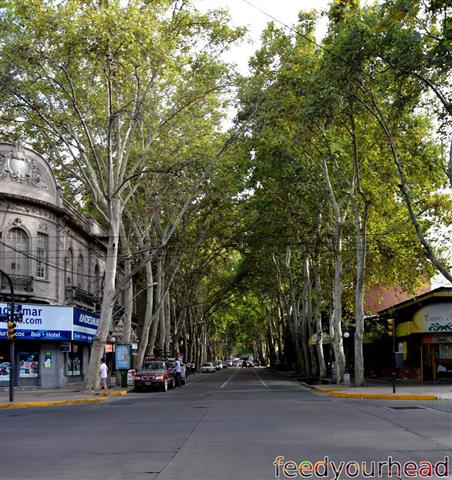 mendoza1 (Small).jpg