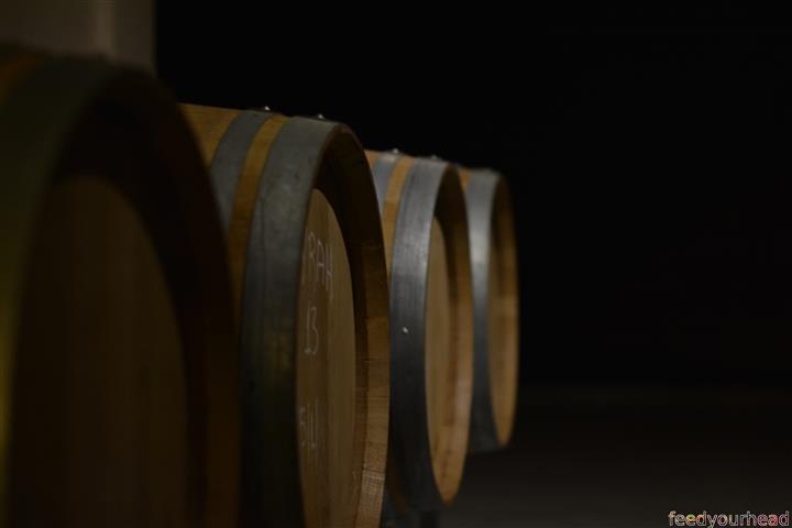 wino1 (Small).JPG