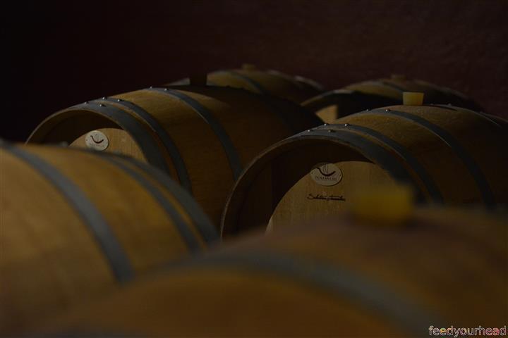 wino2 (Small).JPG