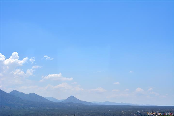 mendoza droga (Small).JPG