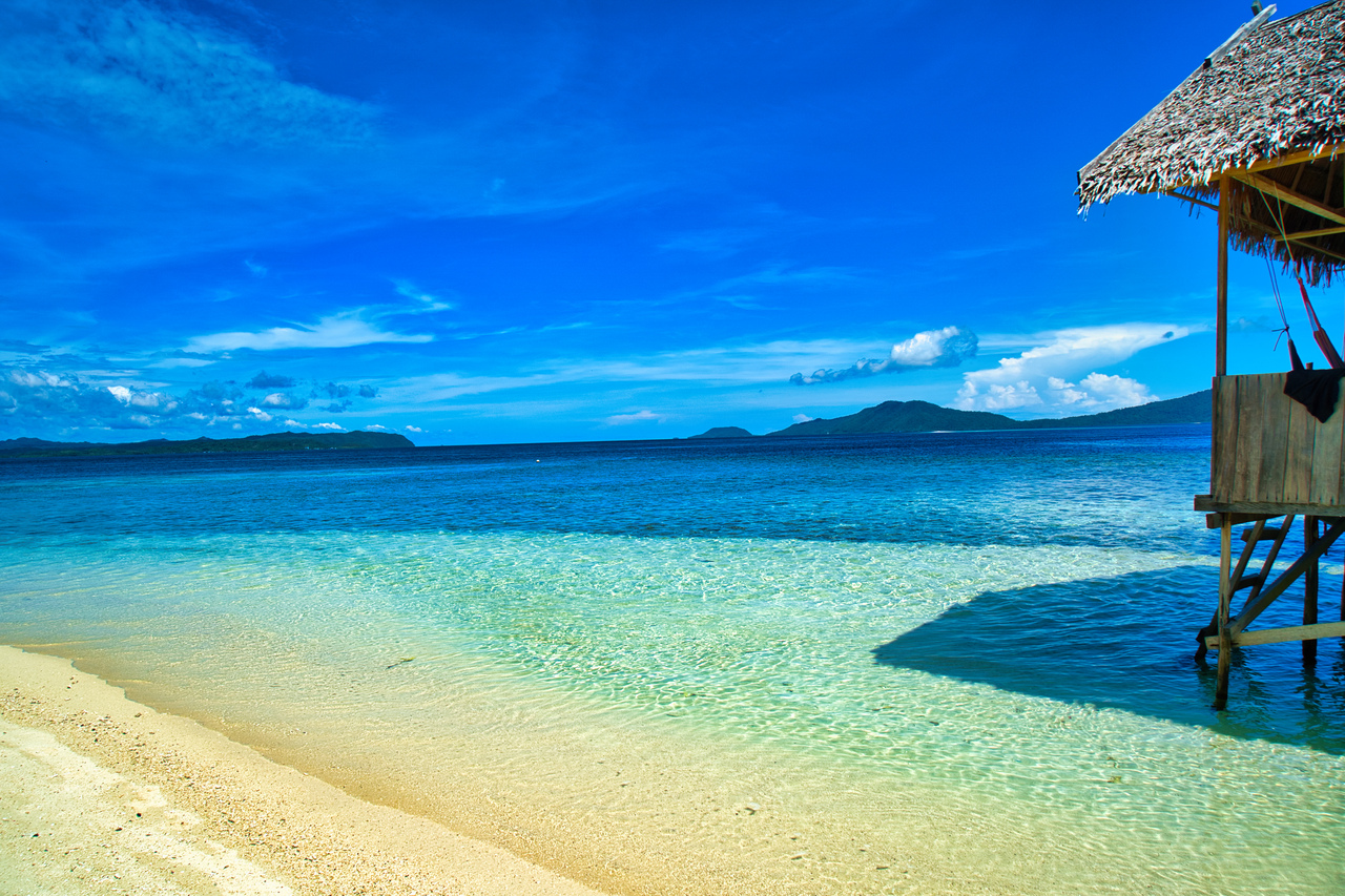 DSC01321-kopia_Easy-Resize.com.jpg