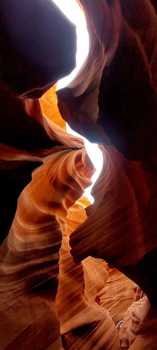 20240407_092832.jpg