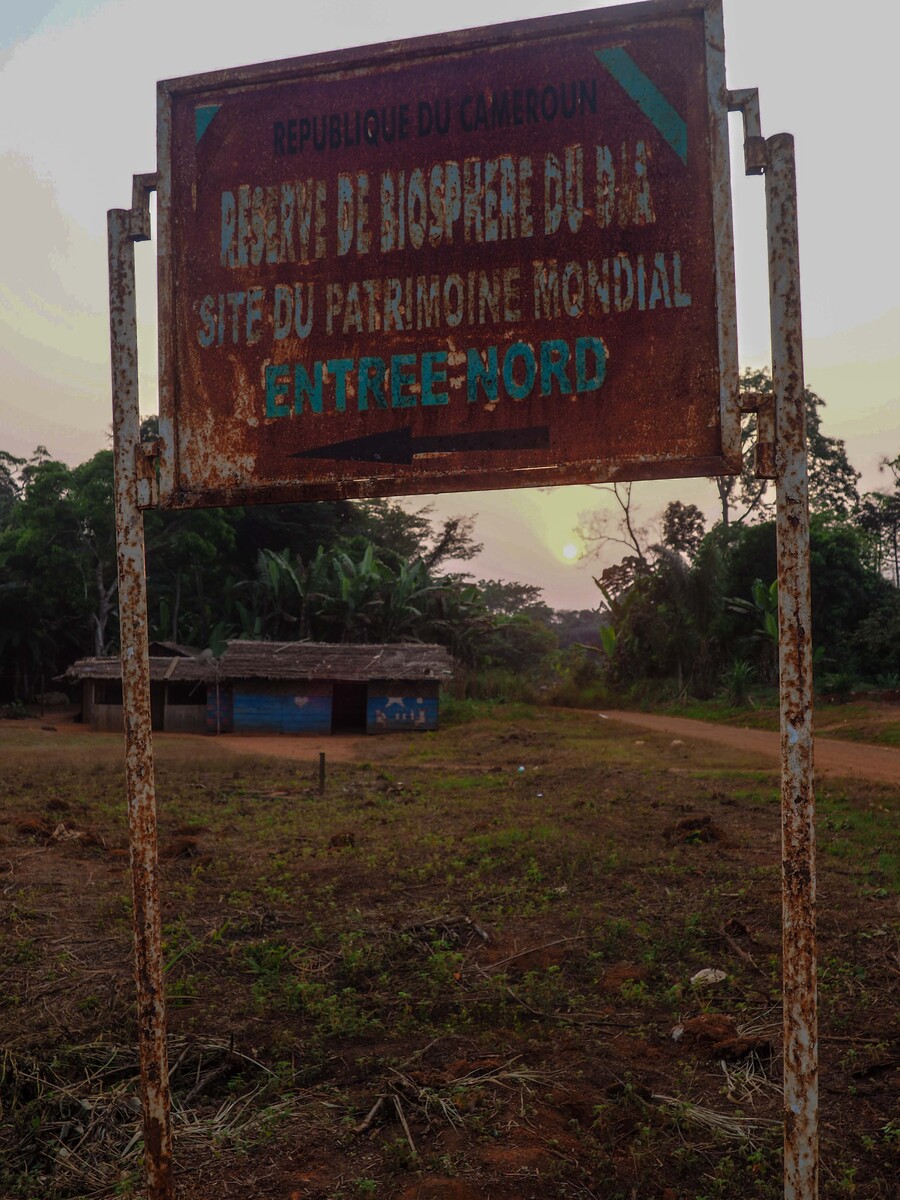 P1040026.jpg