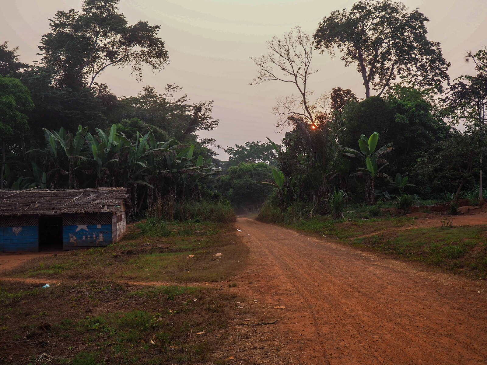 P1040028.jpg
