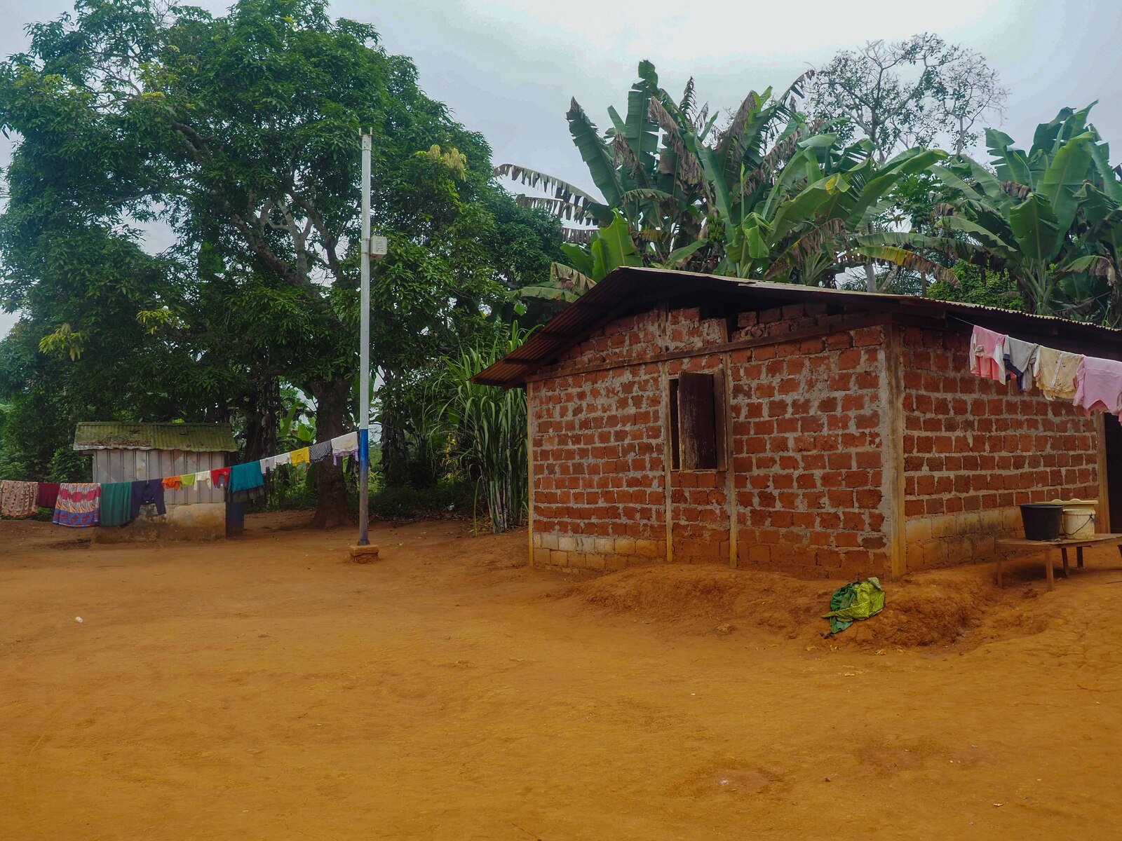 P1050035.jpg