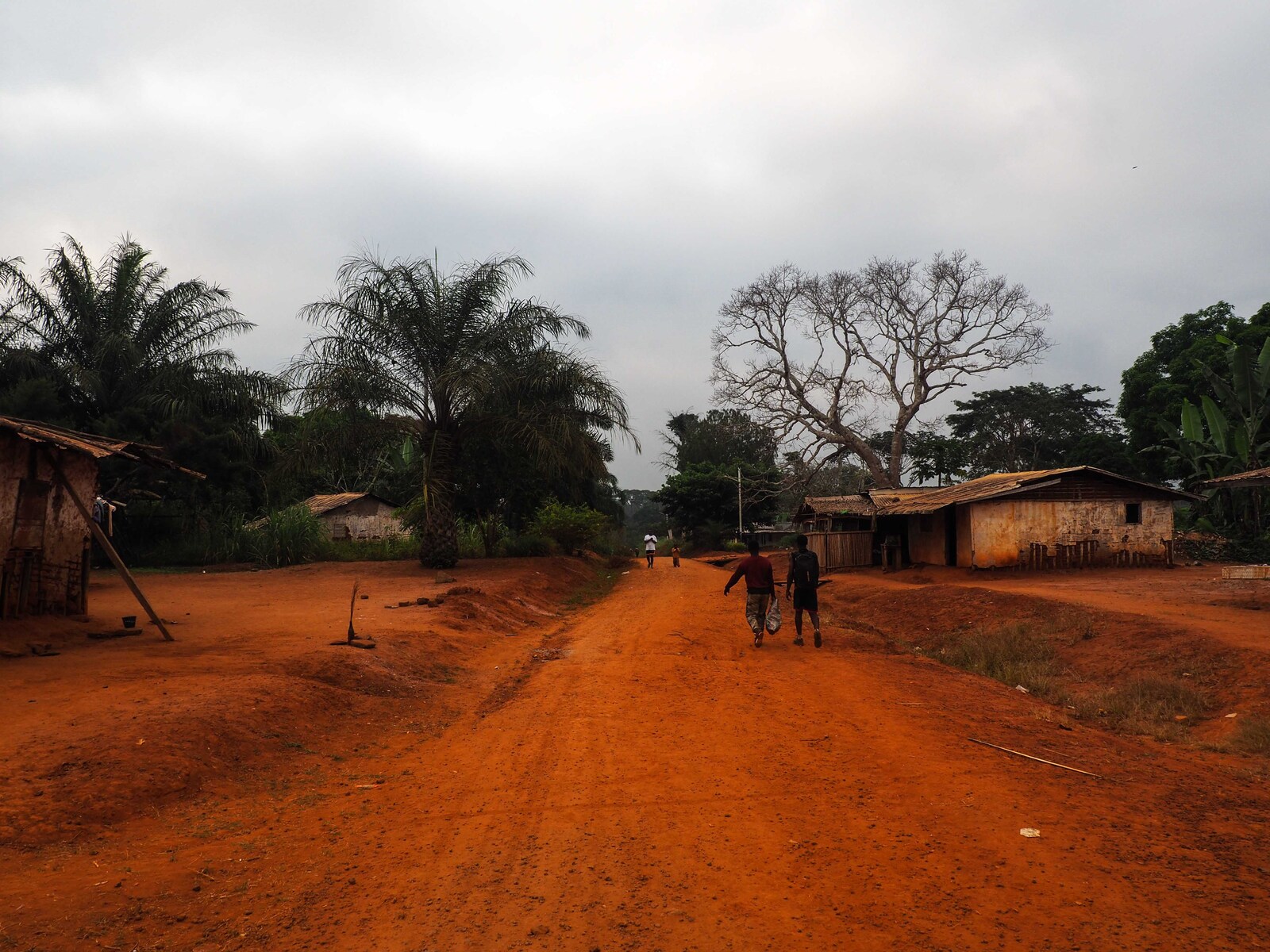 P1050037.jpg