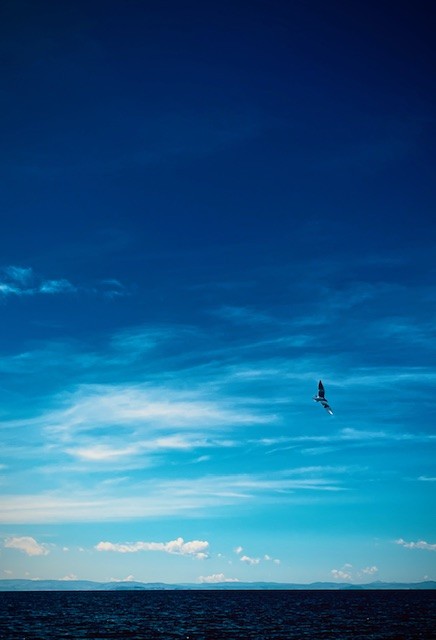thumbnail_IMG_3504.jpg