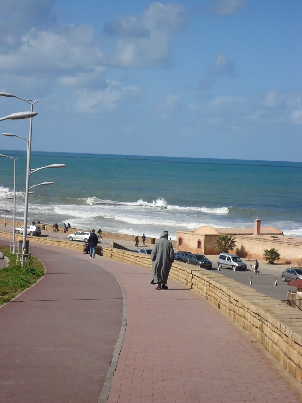 85.JPG