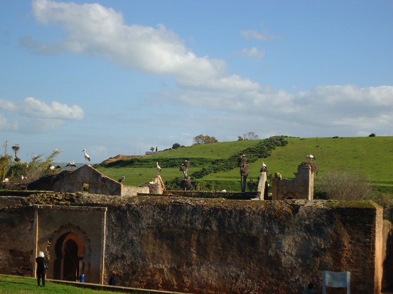 106.JPG