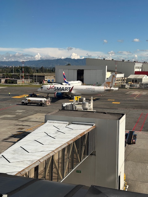 IMG_5826.jpeg