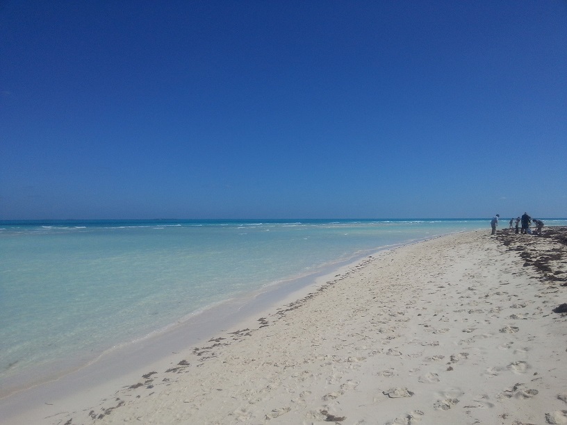 20150215_123012.jpg