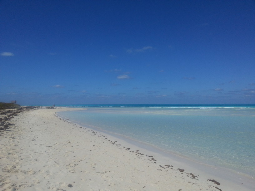 20150215_123016.jpg