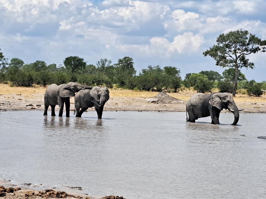 Botswana1 (Copy).jpg