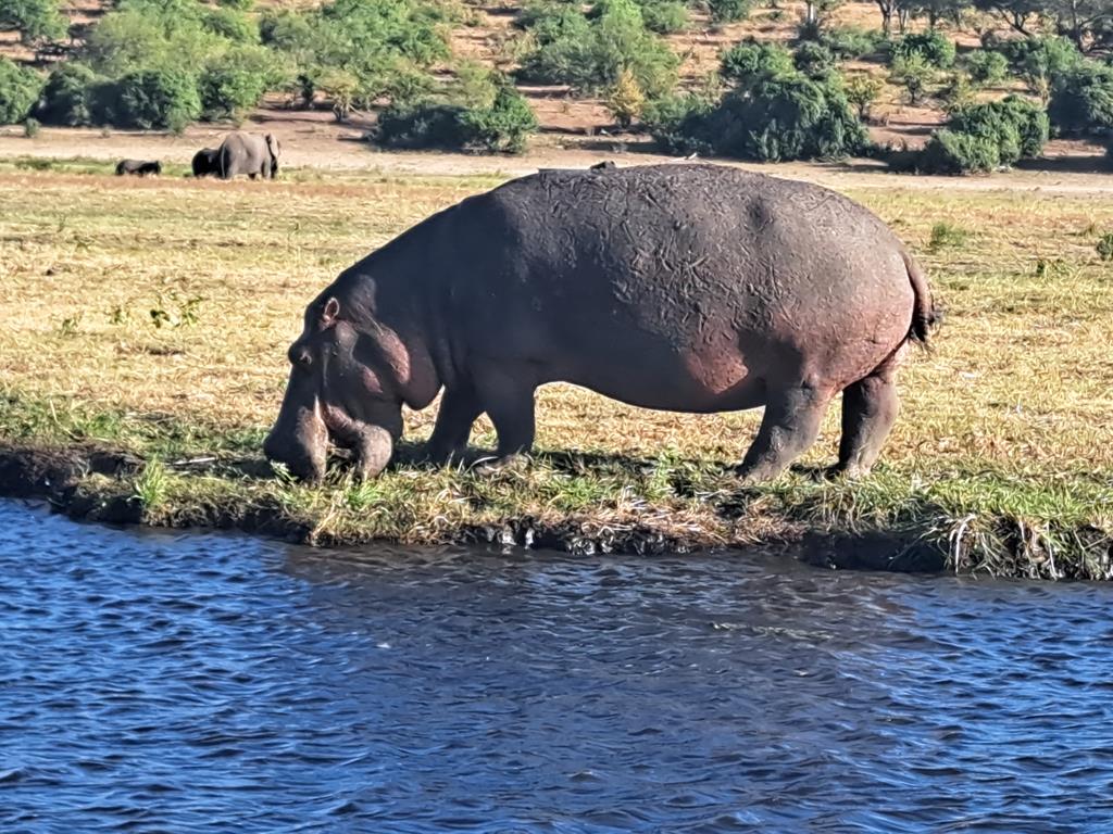 Botswana2 (Copy).jpg