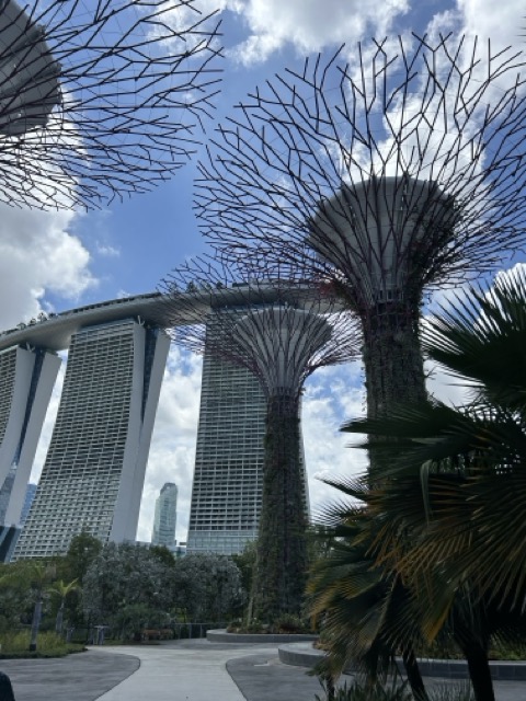 IMG_7151 Medium.jpeg