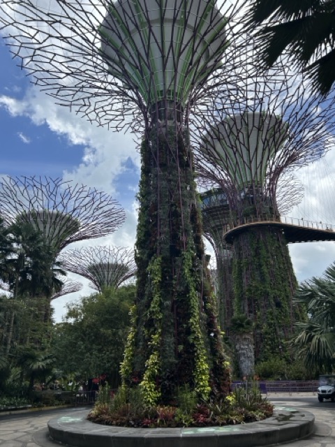 IMG_7145 Medium.jpeg