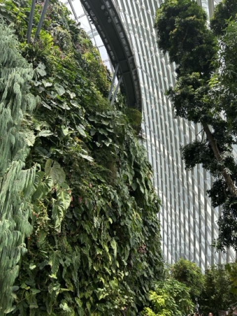 IMG_7069 Medium.jpeg