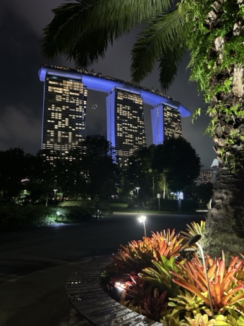 IMG_6890 Medium.jpeg