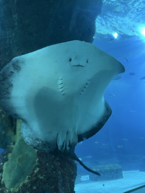 IMG_6865 Medium.jpeg
