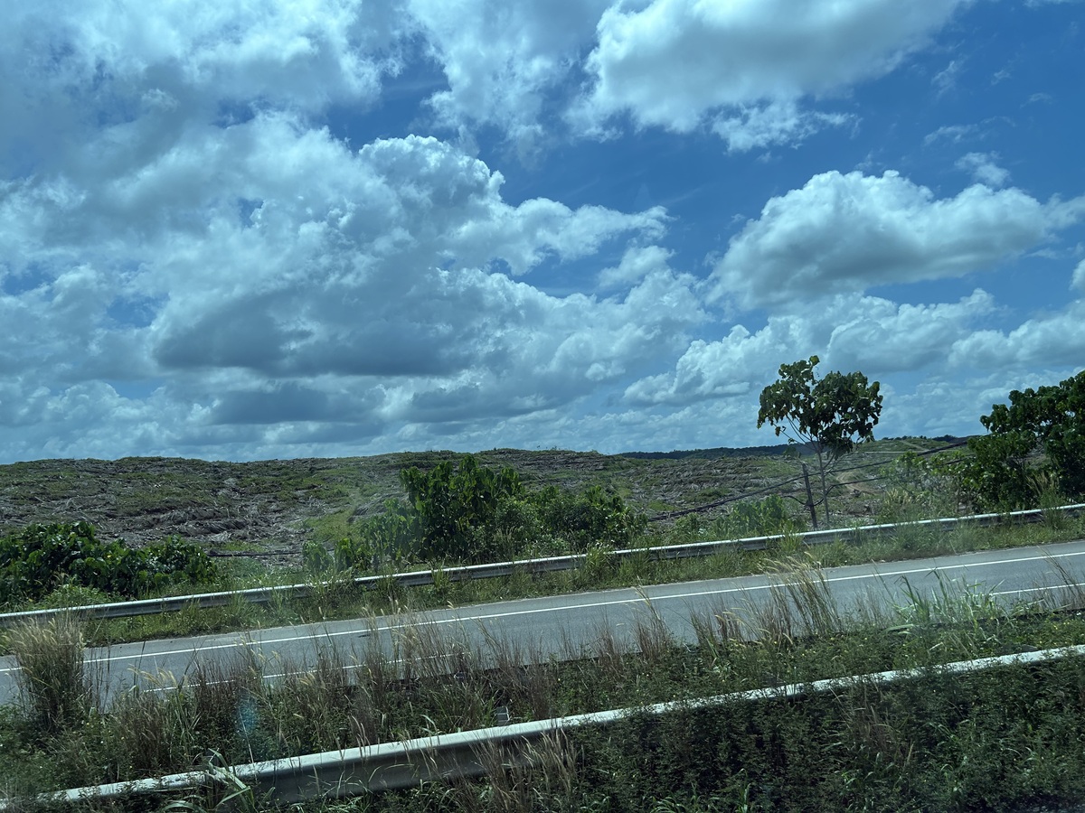 IMG_7617.jpeg