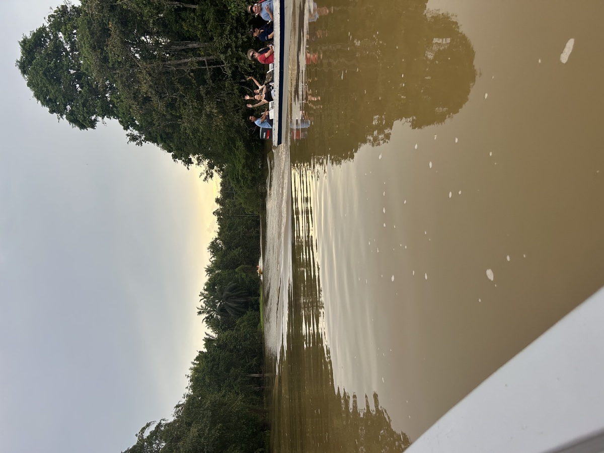 IMG_7685.jpeg