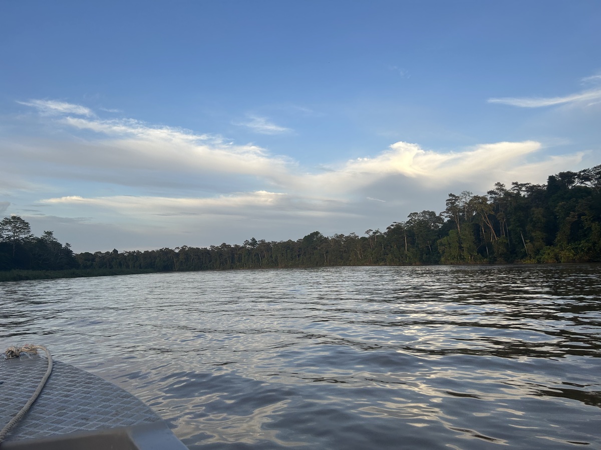 IMG_7698.jpeg