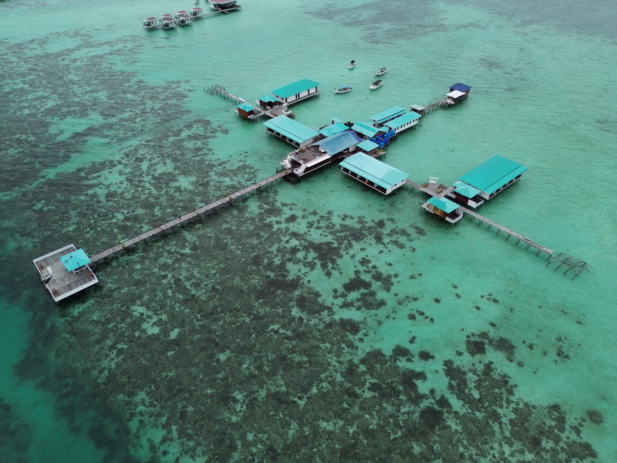 dji_fly_20250317_165630_391_1742201805582_photo.jpg