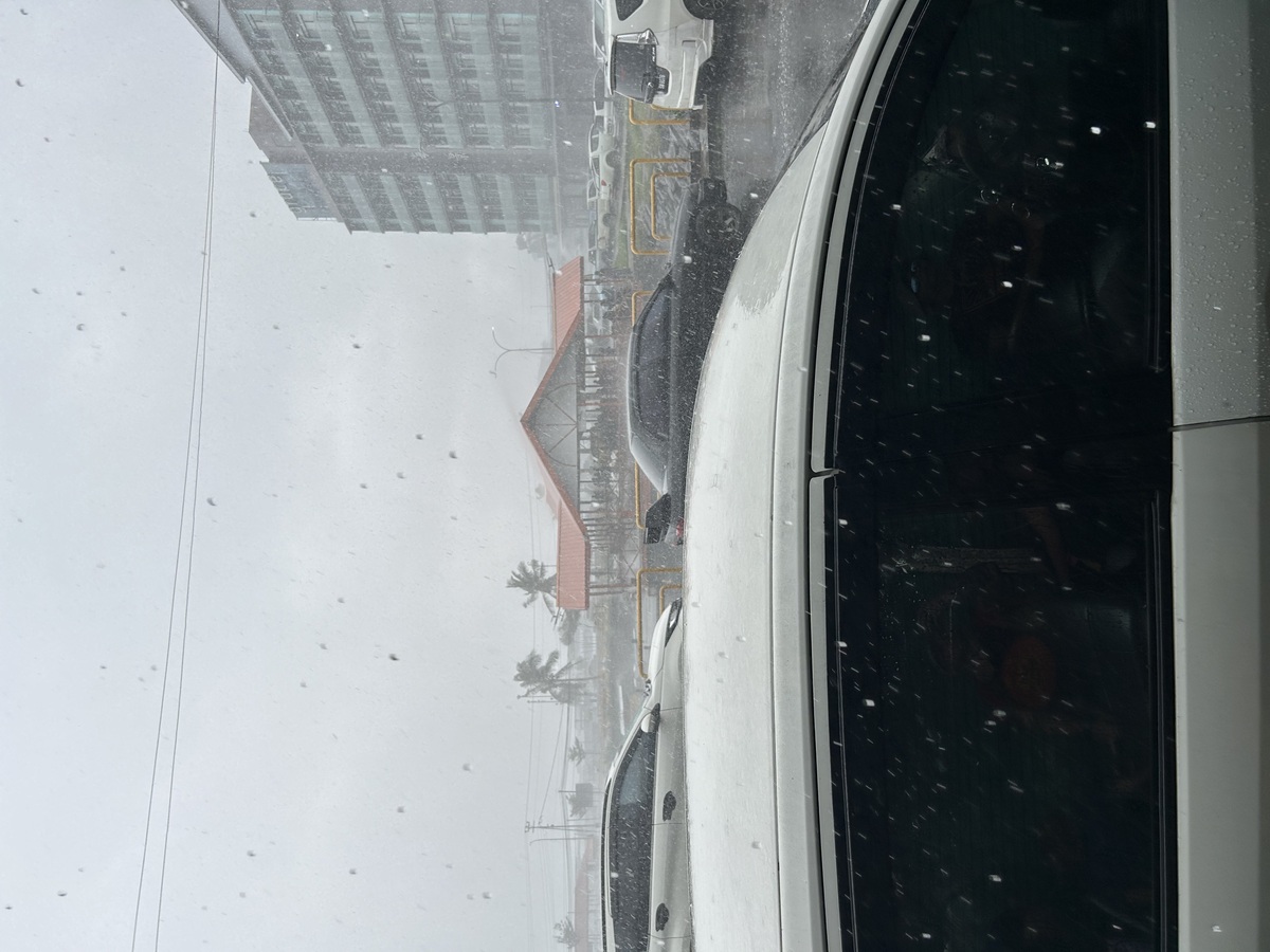IMG_7766.jpeg