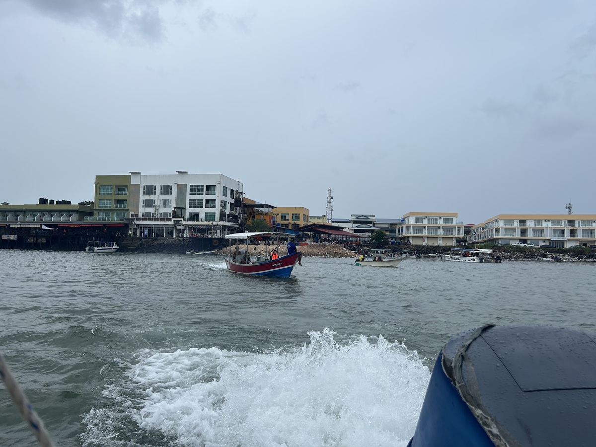 IMG_7768.jpeg
