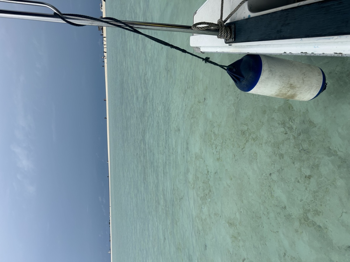 IMG_7849.jpeg