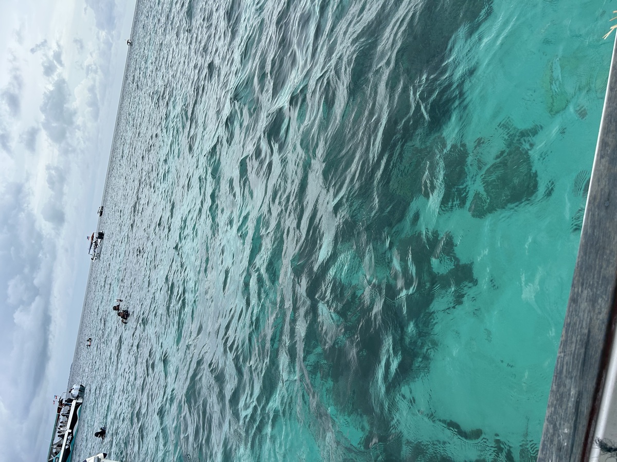 IMG_7872.jpeg
