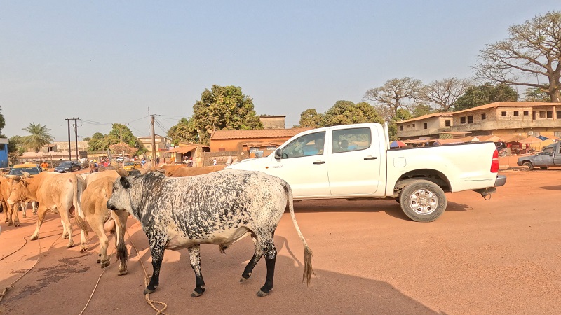 Ziguinchor6.jpg