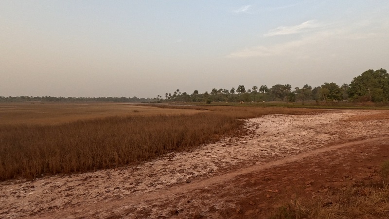 Ziguinchor-Bissau4.jpg