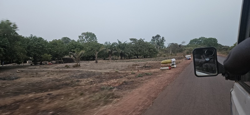 Ziguinchor-Bissau5.jpg
