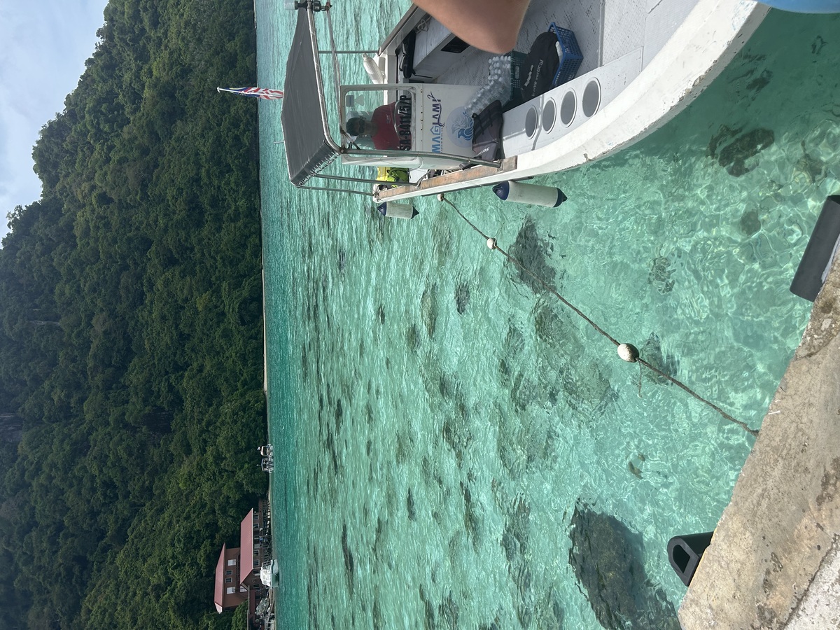 IMG_8136.jpeg