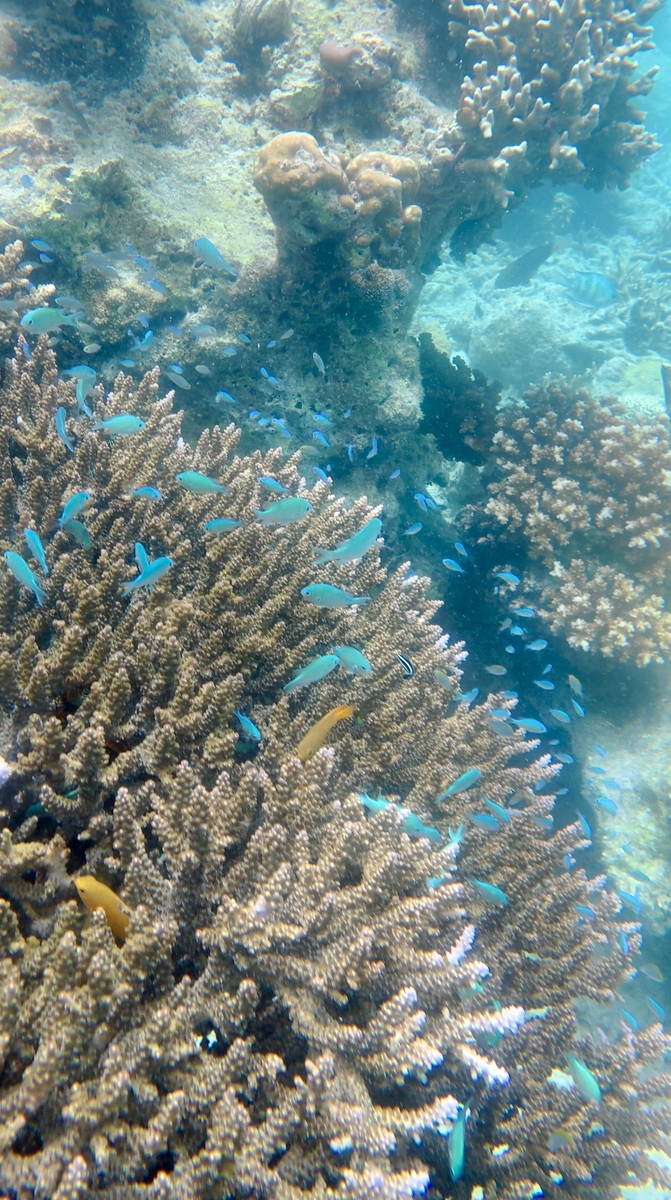 dji_mimo_20250316_124958_20250316124958_1742114922895_photo.jpg